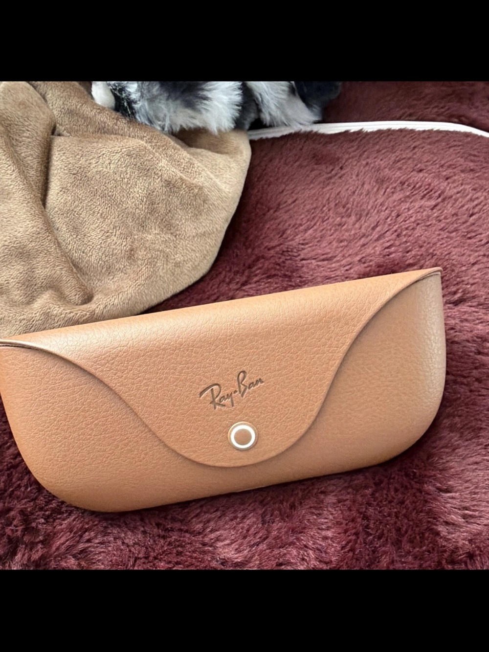 Ray-Ban Tan Leather Eyewear Case with Snap Closure